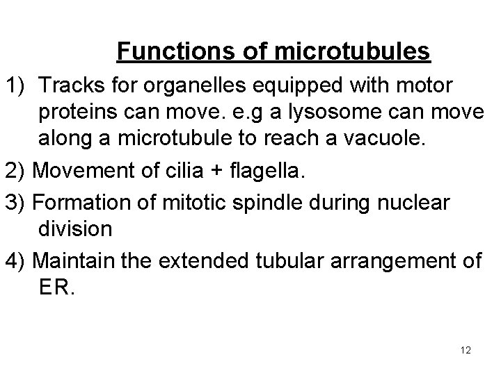 Functions of microtubules 1) Tracks for organelles equipped with motor proteins can move. e.