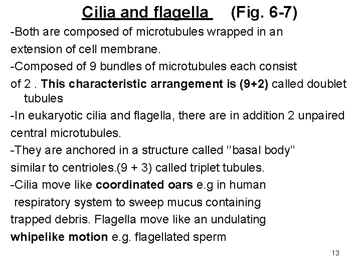 Cilia and flagella (Fig. 6 -7) -Both are composed of microtubules wrapped in an