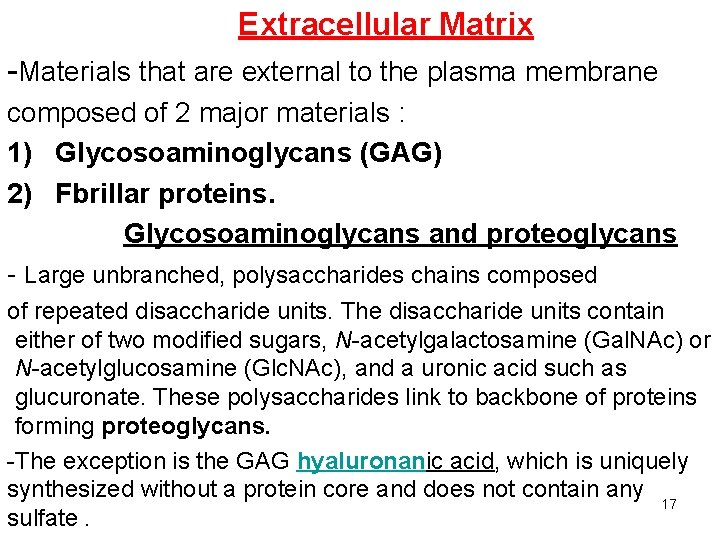 Extracellular Matrix -Materials that are external to the plasma membrane composed of 2 major