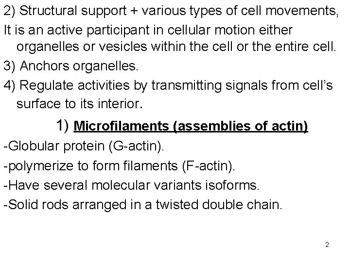 2) Structural support + various types of cell movements, It is an active participant