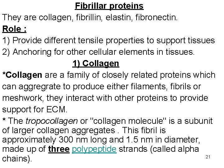 Fibrillar proteins They are collagen, fibrillin, elastin, fibronectin. Role : 1) Provide different tensile