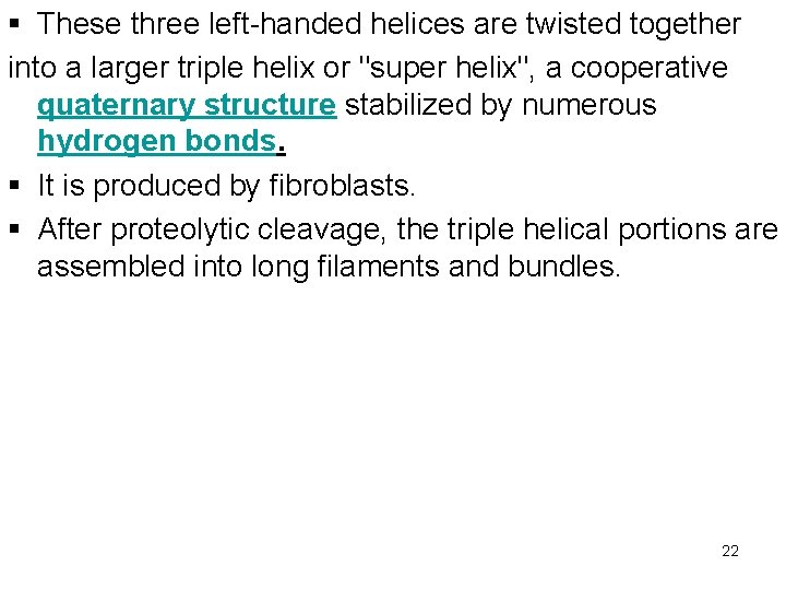 § These three left-handed helices are twisted together into a larger triple helix or