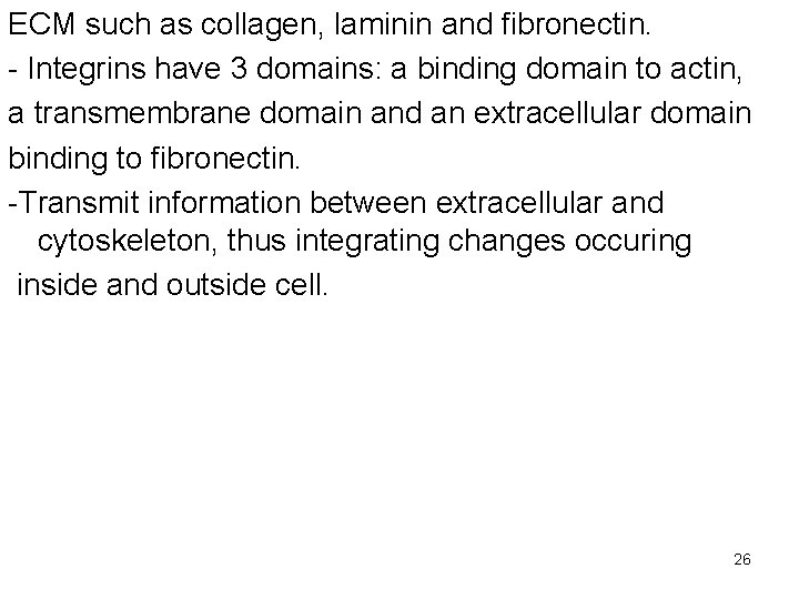 ECM such as collagen, laminin and fibronectin. - Integrins have 3 domains: a binding