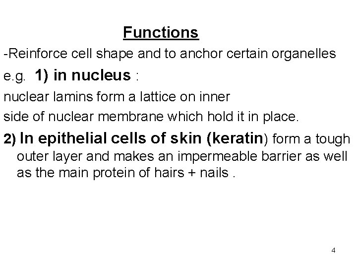 Functions -Reinforce cell shape and to anchor certain organelles e. g. 1) in nucleus