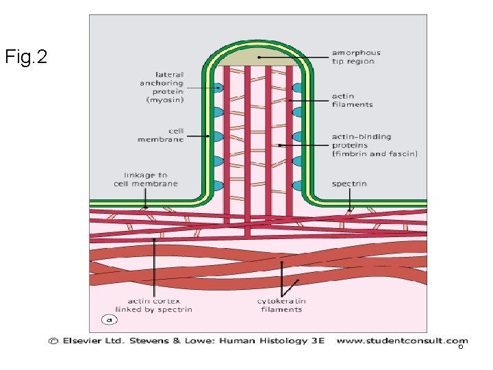 Fig. 2 6 