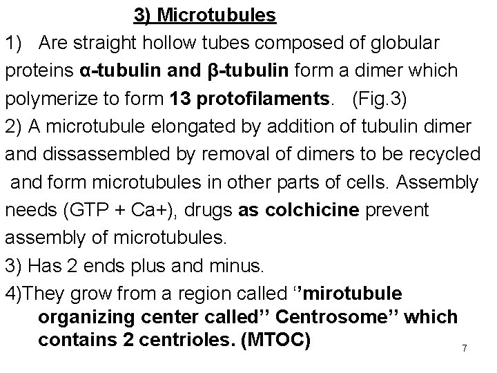 3) Microtubules 1) Are straight hollow tubes composed of globular proteins α-tubulin and β-tubulin