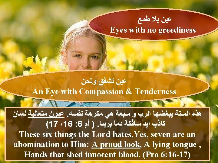  ﻋﻴﻦ ﺑﻼ ﻃﻤﻊ Eyes with no greediness ﻋﻴﻦ ﺗﺸﻔﻖ ﻭﺗﺤﻦ An Eye with