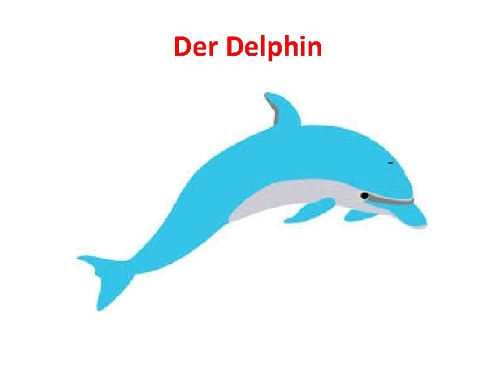 Der Delphin 