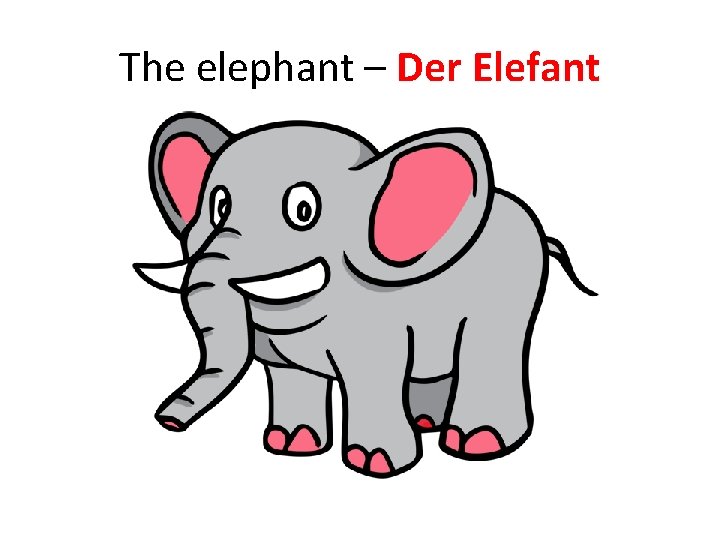The elephant – Der Elefant 