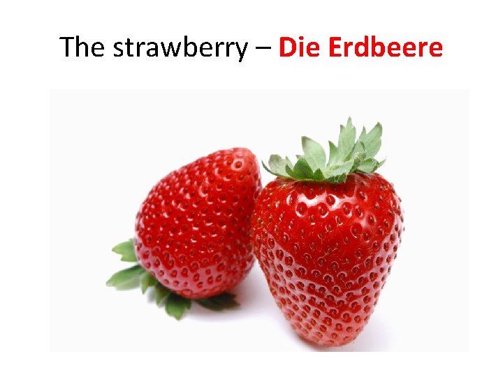 The strawberry – Die Erdbeere 