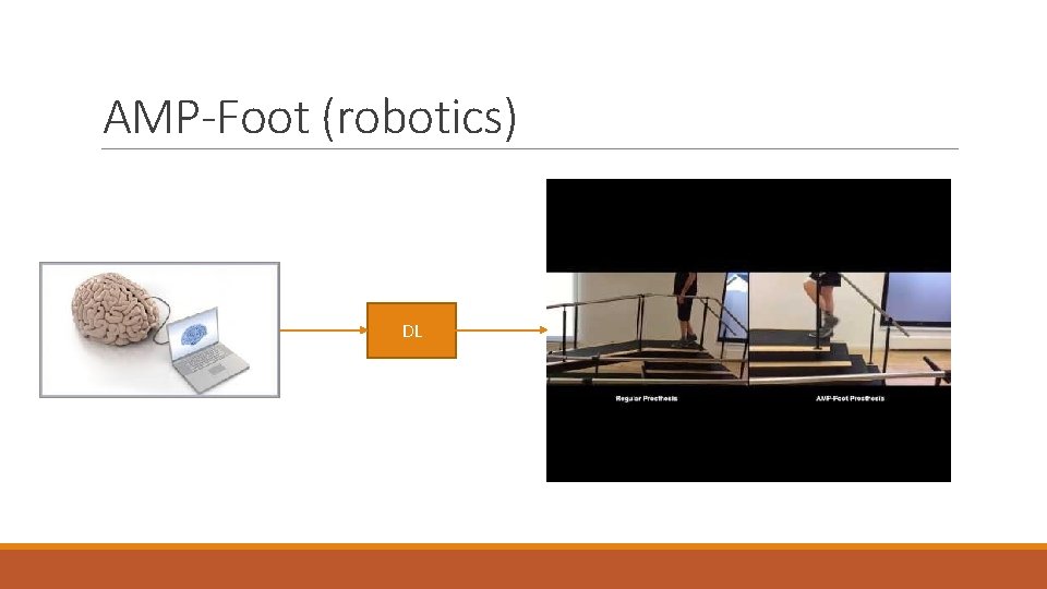 AMP-Foot (robotics) DL 