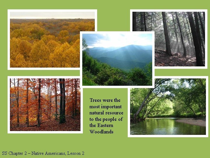 Trees were the most important natural resource to the people of the Eastern Woodlands