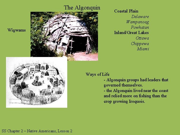 The Algonquin Wigwams Coastal Plain Delaware Wampanoag Powhatan Inland/Great Lakes Ottawa Chippewa Miami Ways