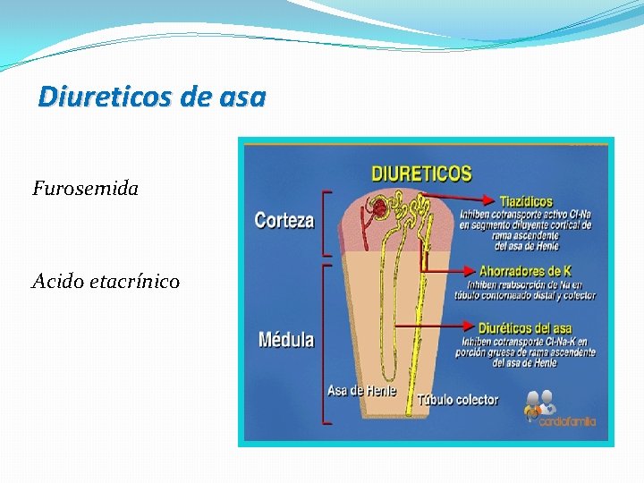 Diureticos de asa Furosemida Acido etacrínico 