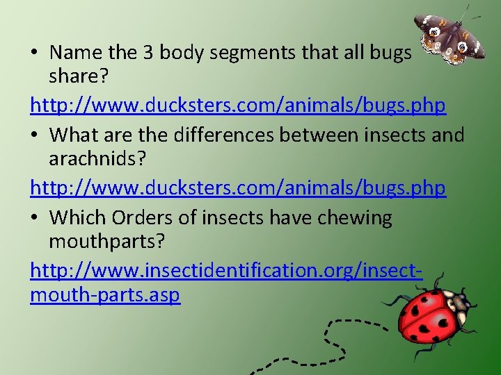  • Name the 3 body segments that all bugs share? http: //www. ducksters.