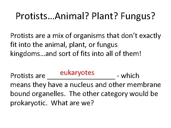 Protists…Animal? Plant? Fungus? Protists are a mix of organisms that don’t exactly fit into Protists…Animal? Plant? Fungus? Protists are a mix of organisms that don’t exactly fit into