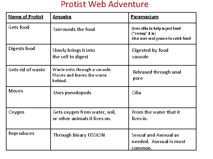 Protist Web Adventure Name of Protist Amoeba Paramecium Gets food Surrounds the food Uses Protist Web Adventure Name of Protist Amoeba Paramecium Gets food Surrounds the food Uses