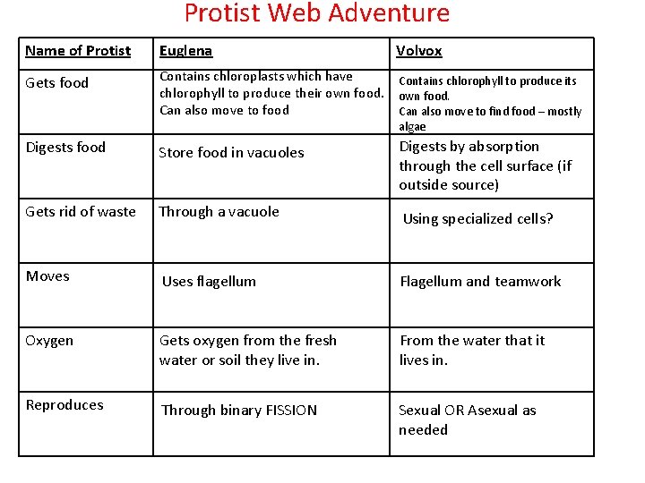 Protist Web Adventure Name of Protist Euglena Volvox Gets food Contains chloroplasts which have Protist Web Adventure Name of Protist Euglena Volvox Gets food Contains chloroplasts which have