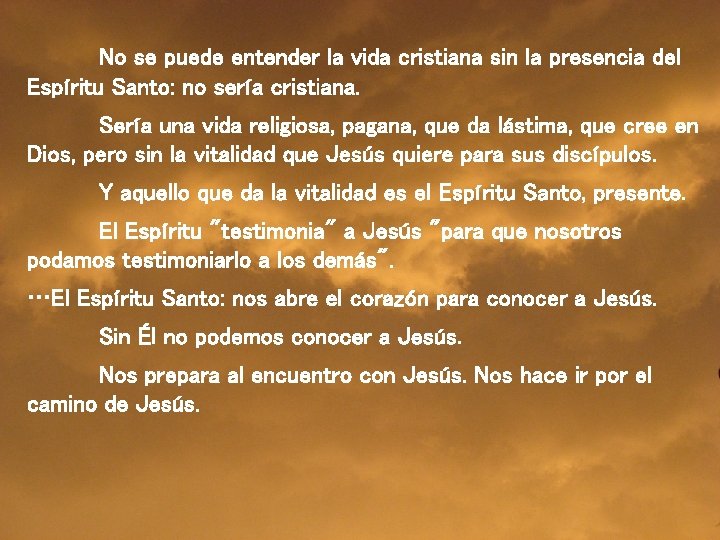 No se puede entender la vida cristiana sin la presencia del Espíritu Santo: no