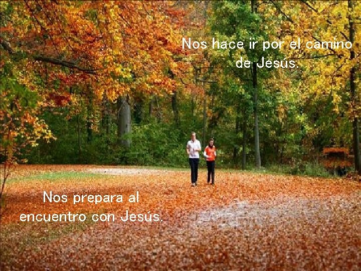 Nos hace ir por el camino de Jesús. Nos prepara al encuentro con Jesús.
