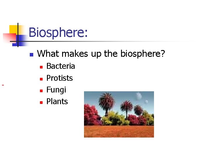 Biosphere: n What makes up the biosphere? n n Bacteria Protists Fungi Plants 