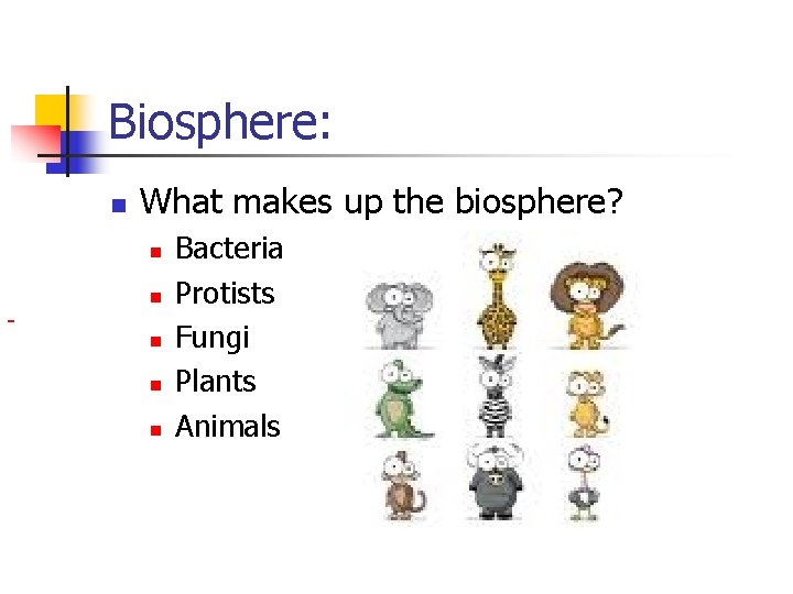 Biosphere: n What makes up the biosphere? n n n Bacteria Protists Fungi Plants