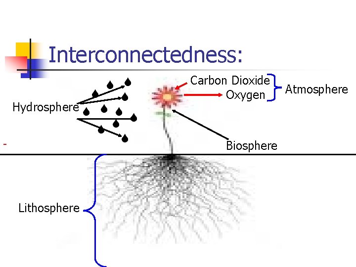 Interconnectedness: Hydrosphere Carbon Dioxide Oxygen Biosphere Lithosphere Atmosphere 