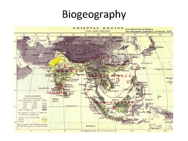 Biogeography Biogeography