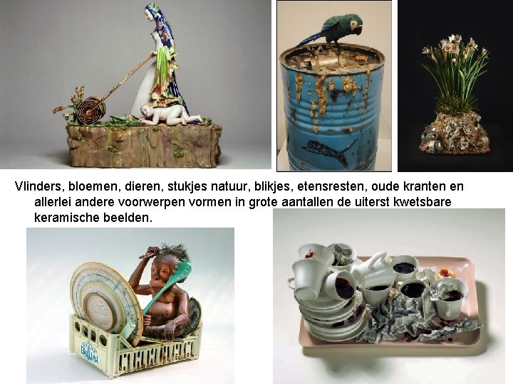 Vlinders, bloemen, dieren, stukjes natuur, blikjes, etensresten, oude kranten en allerlei andere voorwerpen vormen