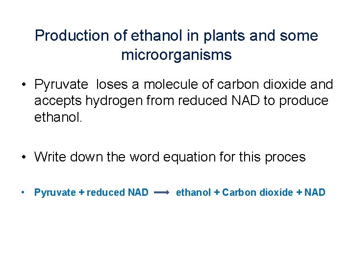 Production of ethanol in plants and some microorganisms • Pyruvate loses a molecule of