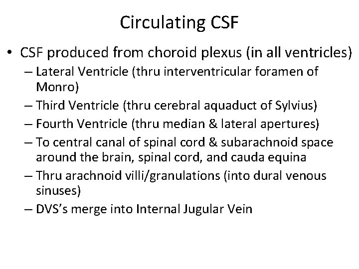 Circulating CSF • CSF produced from choroid plexus (in all ventricles) – Lateral Ventricle