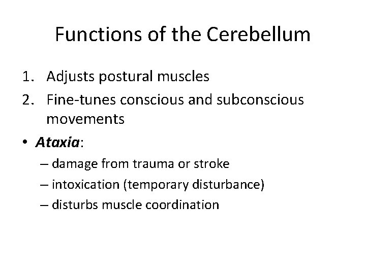 Functions of the Cerebellum 1. Adjusts postural muscles 2. Fine-tunes conscious and subconscious movements