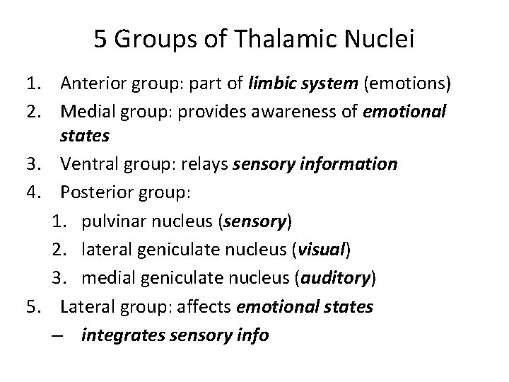 5 Groups of Thalamic Nuclei 1. Anterior group: part of limbic system (emotions) 2.