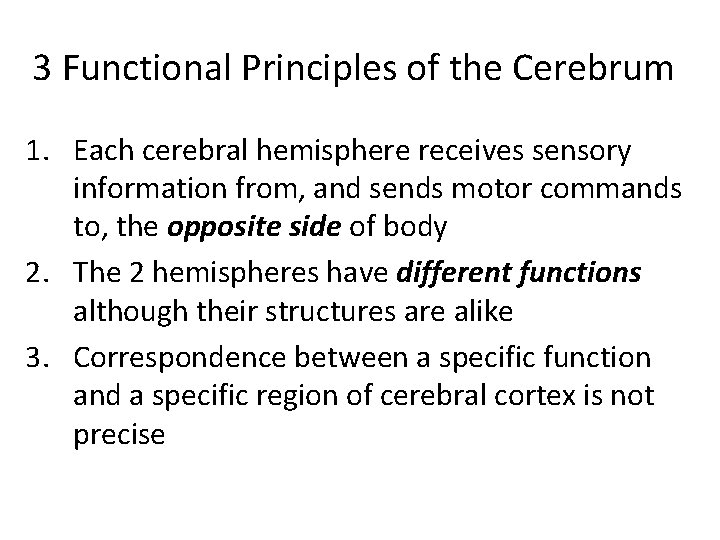 3 Functional Principles of the Cerebrum 1. Each cerebral hemisphere receives sensory information from,