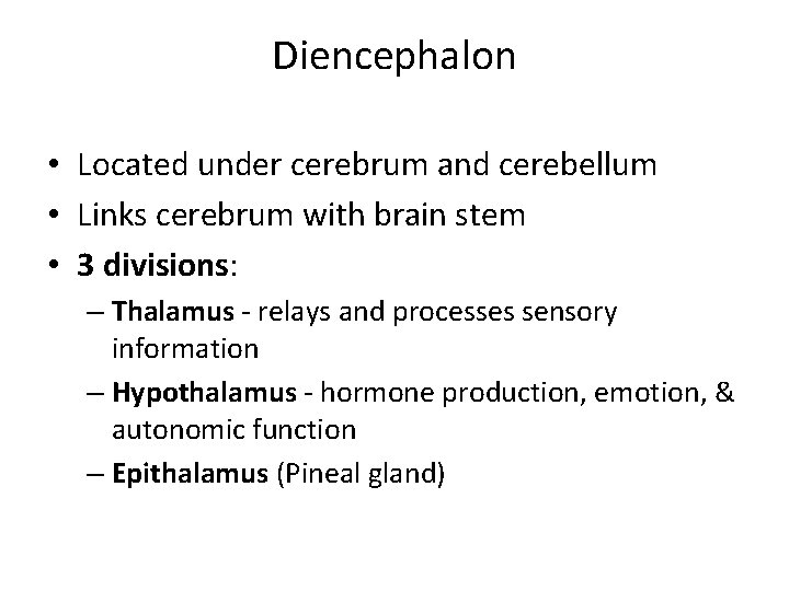 Diencephalon • Located under cerebrum and cerebellum • Links cerebrum with brain stem •