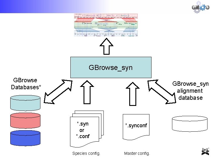 GBrowse_syn GBrowse Databases* GBrowse_syn alignment database *. syn or *. conf Species config. *.