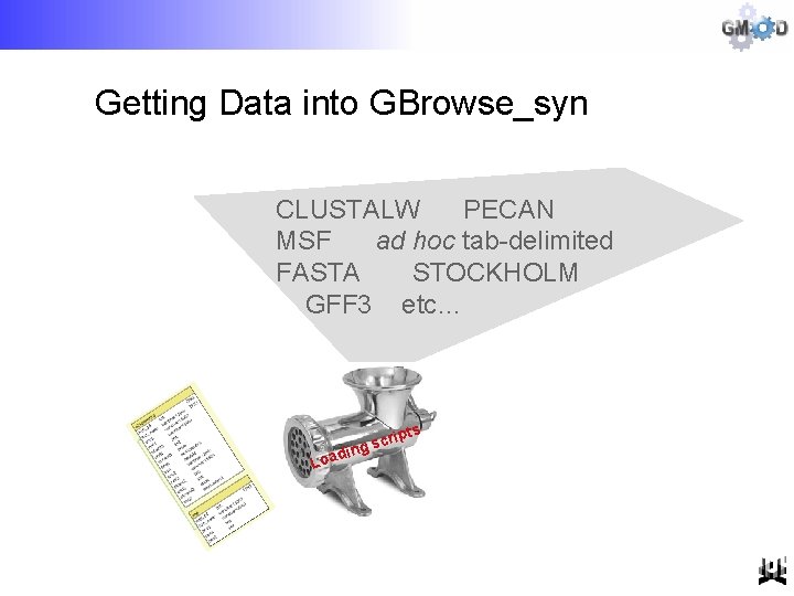 Getting Data into GBrowse_syn CLUSTALW PECAN MSF ad hoc tab-delimited FASTA STOCKHOLM GFF 3