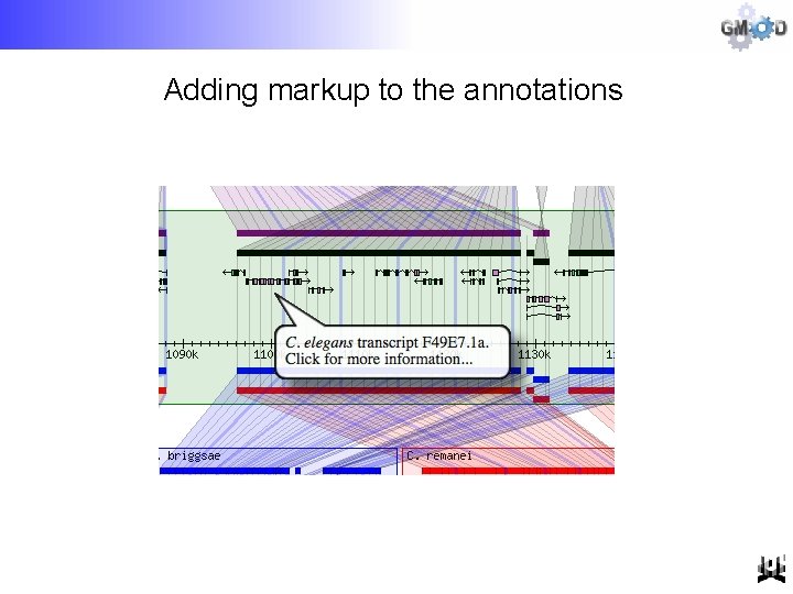 Adding markup to the annotations 