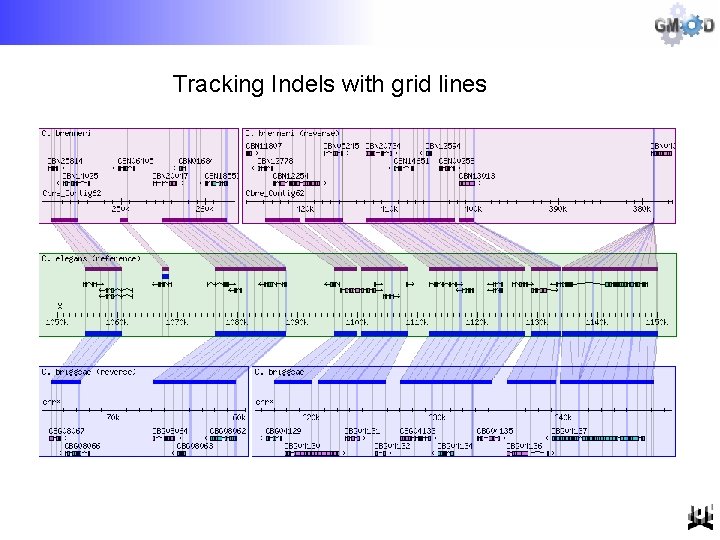 Tracking Indels with grid lines 