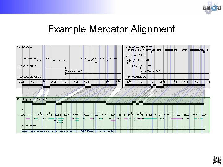 Example Mercator Alignment 