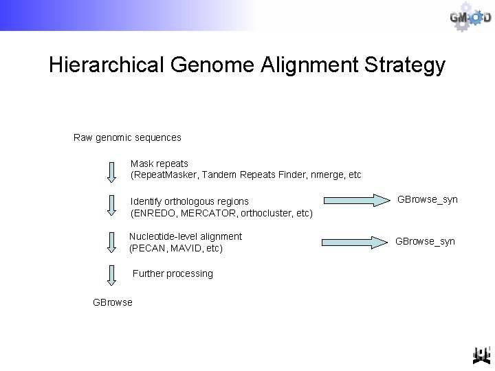 Hierarchical Genome Alignment Strategy Raw genomic sequences Mask repeats (Repeat. Masker, Tandem Repeats Finder,