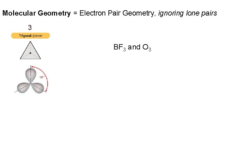 Molecular Geometry = Electron Pair Geometry, ignoring lone pairs BF 3 and O 3