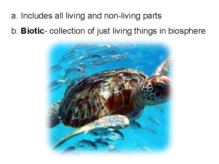 a. Includes all living and non-living parts b. Biotic- collection of just living things