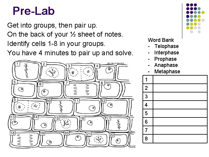 Pre-Lab Get into groups, then pair up. On the back of your ½ sheet