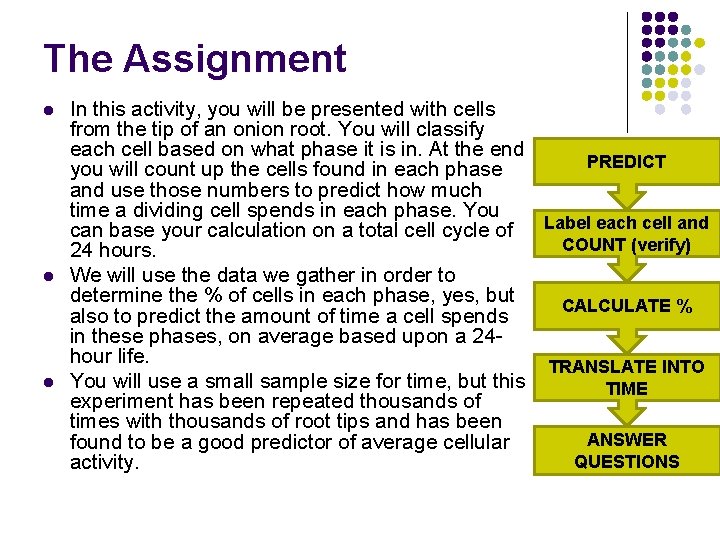 The Assignment l l l In this activity, you will be presented with cells