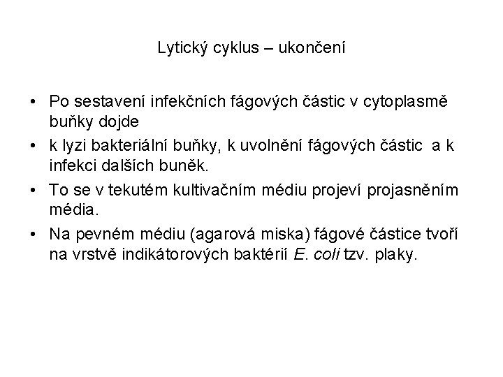 Lytický cyklus – ukončení • Po sestavení infekčních fágových částic v cytoplasmě buňky dojde