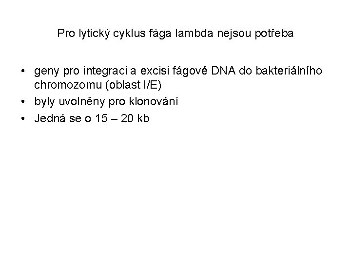 Pro lytický cyklus fága lambda nejsou potřeba • geny pro integraci a excisi fágové