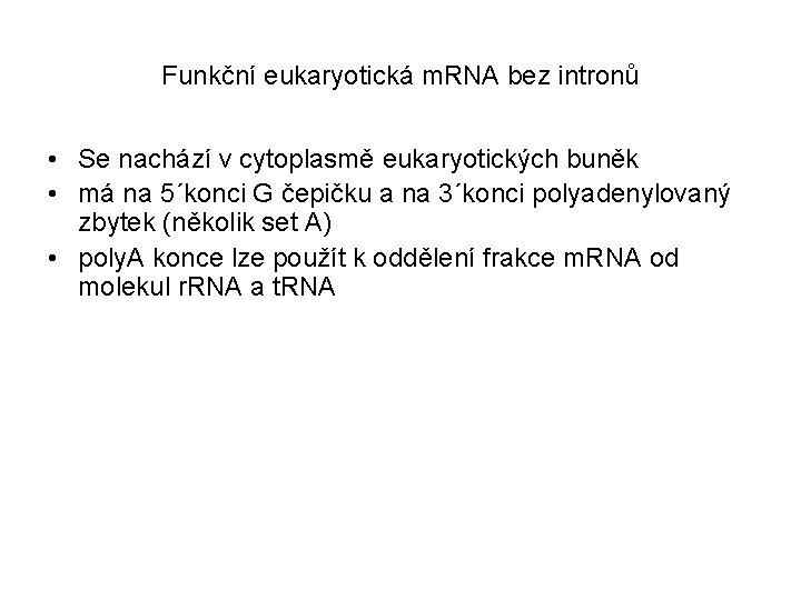 Funkční eukaryotická m. RNA bez intronů • Se nachází v cytoplasmě eukaryotických buněk •