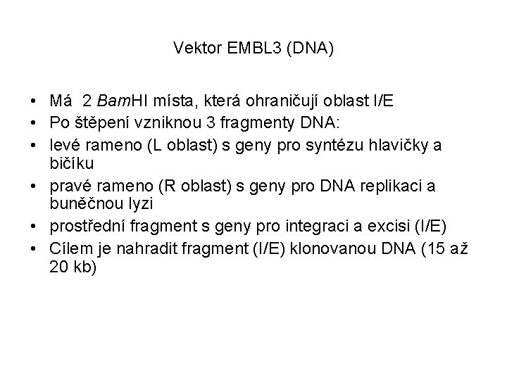 Vektor EMBL 3 (DNA) • Má 2 Bam. HI místa, která ohraničují oblast I/E