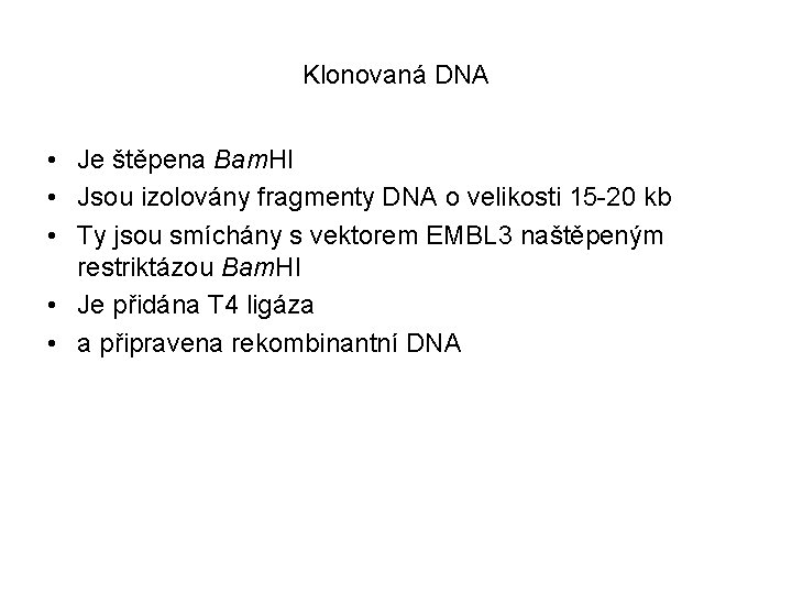 Klonovaná DNA • Je štěpena Bam. HI • Jsou izolovány fragmenty DNA o velikosti